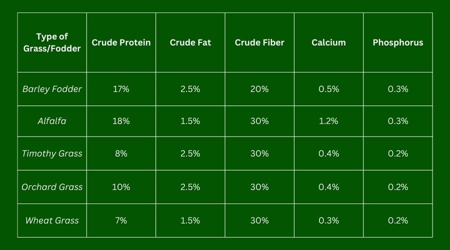 Hydroponically Grown Barley Fodder and Hay Varieties Nutritional Composition