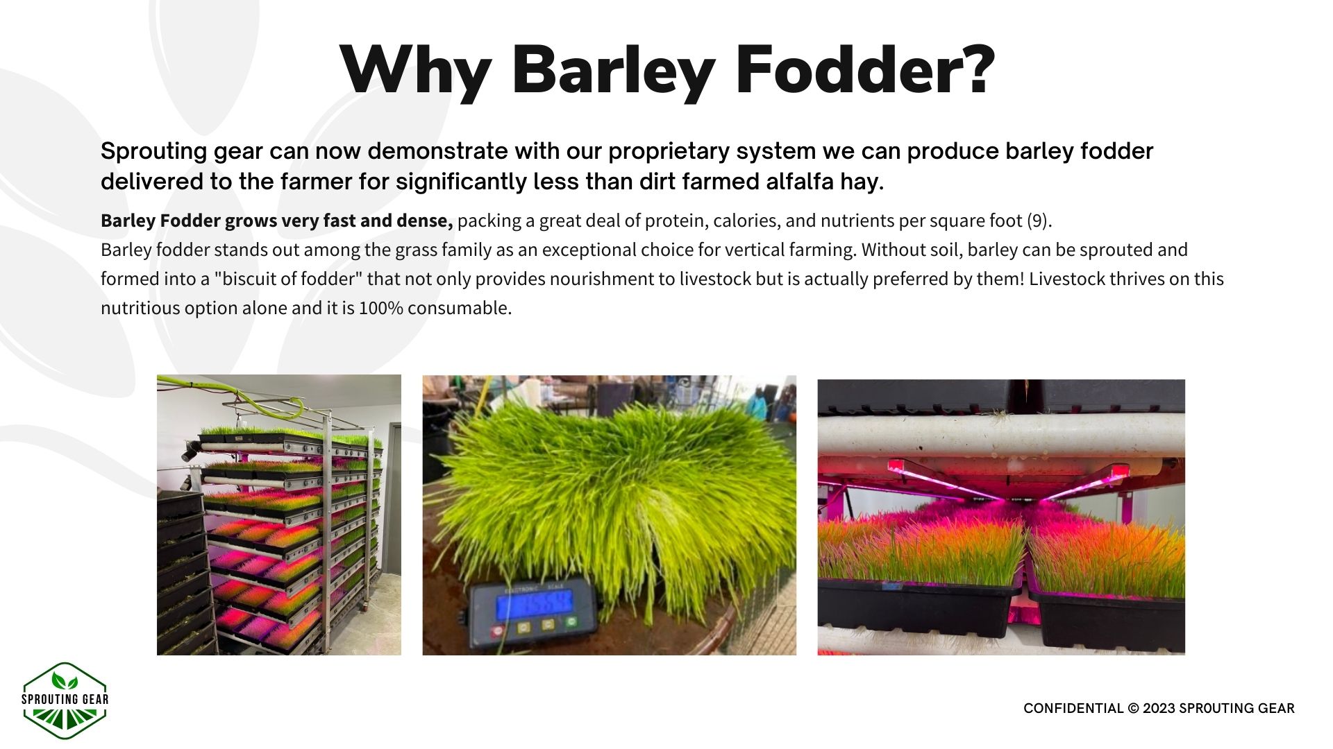 Why barley fodder?